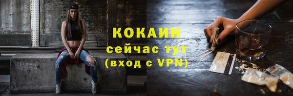 мяу мяу мука Снежногорск