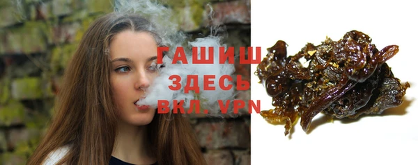 прущие грибы Вязники