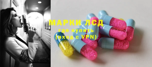 прущие грибы Верхний Тагил