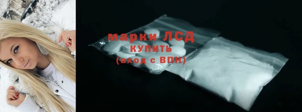 прущие грибы Верхний Тагил
