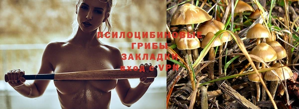 дживик Верея