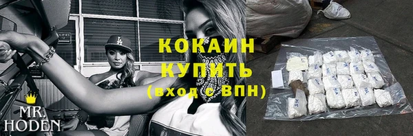 прущие грибы Верхний Тагил