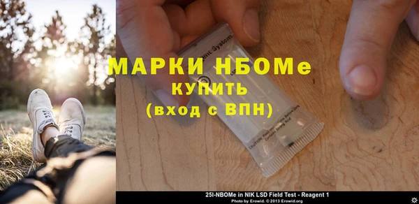 прущие грибы Верхний Тагил